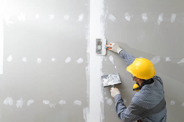 Best Drywall Installation  in Oak Lawn, IL